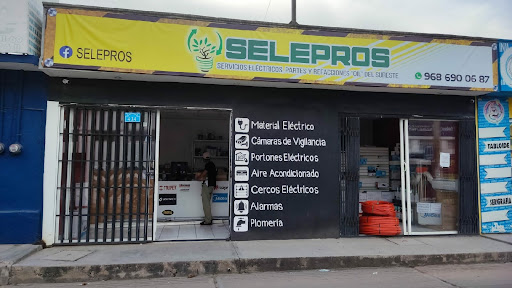 SELEPROS Servicios Eléctricos Profesionales - Mexico