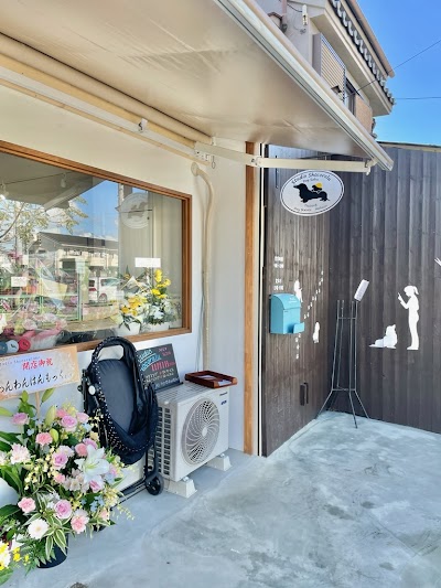 Studio Shocoralu (スタジオ ショコラル)