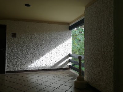 Photos of Hotel Ciudad Real Palenque