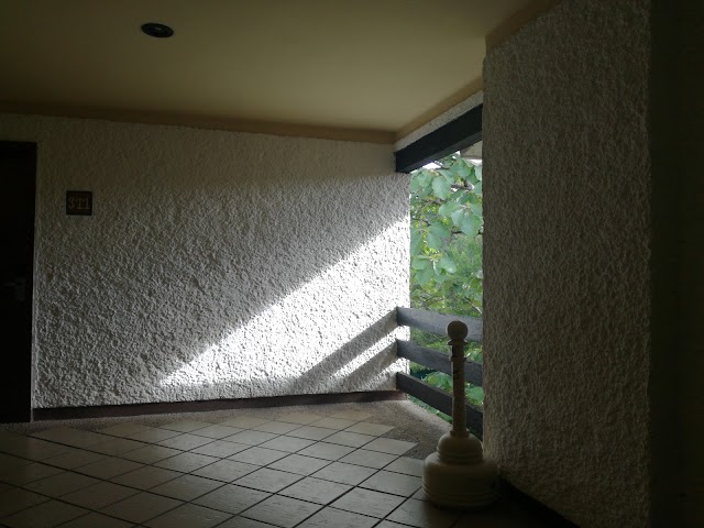 Hotel Ciudad Real Palenque