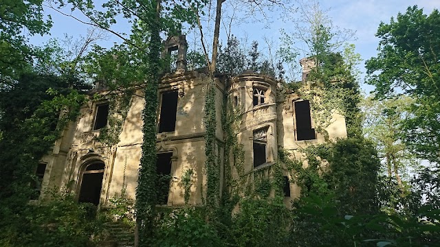 Bois de la Solitude