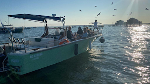 Photo n°1 de NGBoat - Balade en bateau Cap Ferret / Bassin d'Arcachon à Lège-Cap-Ferret (Agence d'excursions en bateau)