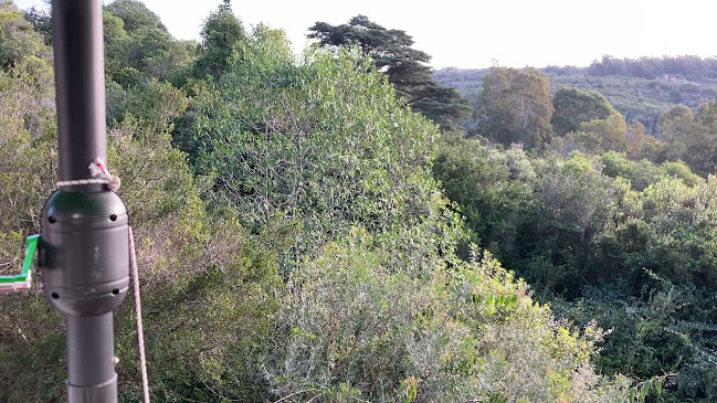 Ventorrillo de la Buena Vista