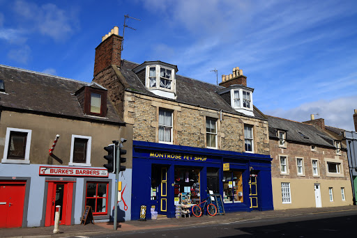 Montrose Pet Shop - Thumbnail