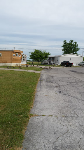 Four Seasons Mobile Home Community - Thumbnail