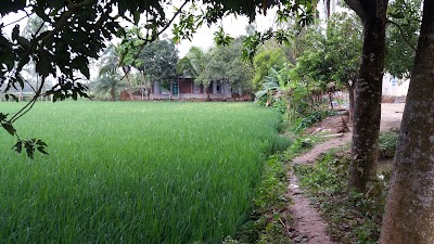 Photos of Famous Clinic