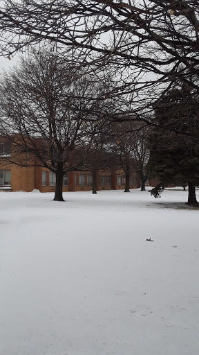 Kedzie & 87th Street - Thumbnail