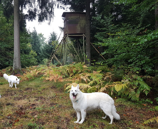 Angelstein Neuenbürg-Waldrennach - Thumbnail