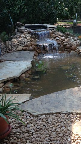 Sean's Landscaping by null
