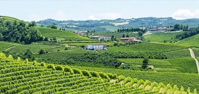 Enoteca Tenuta Montefantino