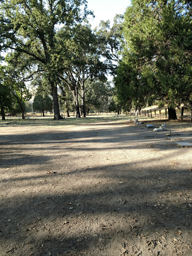 Dunlap Cemetery - Thumbnail