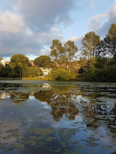 Tweedbank Park Gallery - United Kingdom