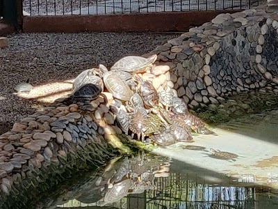 Antalya Zoo