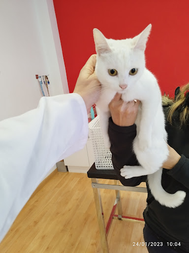 VETALBERT CENTRE VETERINARI ALBAIDA