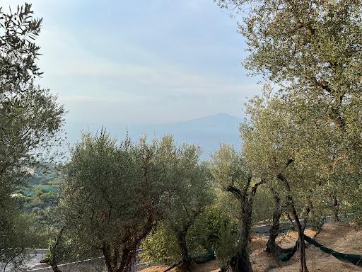 Sorrento - Sant'Agata (via Acquacarbone)