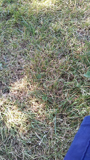 Matt Equinoa Park - Thumbnail