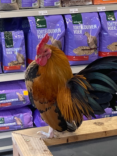 Welkoop 'T Rijpje - Thumbnail