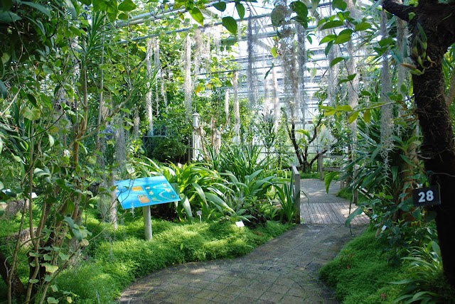 Jardin du Conservatoire botanique national de Brest