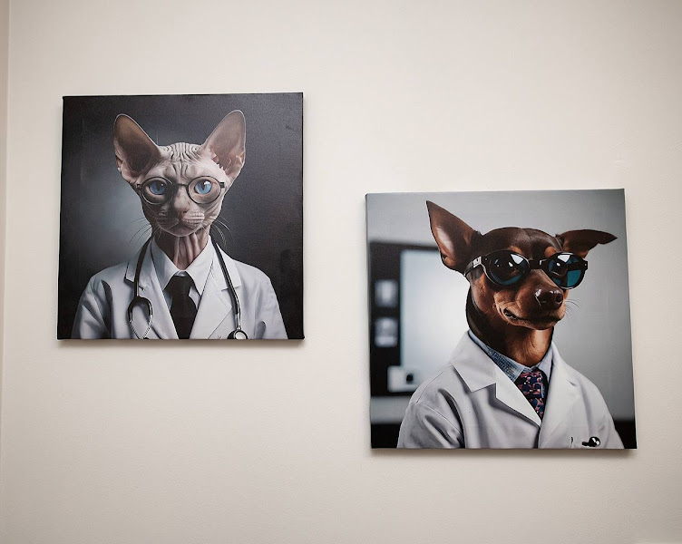 Вхід в клініку Доктор Vet