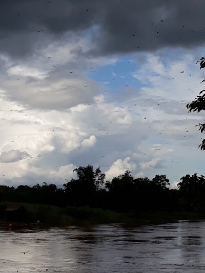Photos of ແຫຼ້ຈຳໜ່າຍຜະລິດຕະພັນເພື່ອສຸຂະພາບ