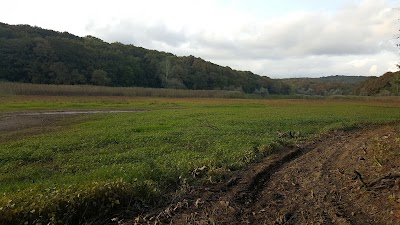 Photos of Belgrad Forest