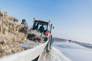 Photo n°6 de Le Chat Lent à Saint-Benoît-des-Ondes (Restaurant de fruits de mer)
