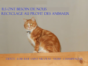 Photo n°1 de TOMASSONI RECYCLAGE à Champenoux (Centre de recyclage)