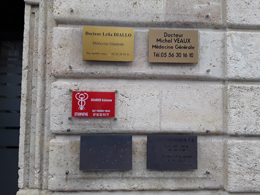 MICHEL VEAUX