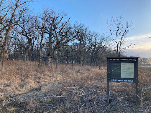 Sibley Grove