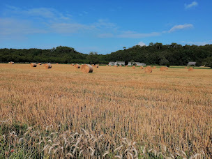 Photo n°12 de Gîte Les Nogalies à Valojoulx (Gîte)