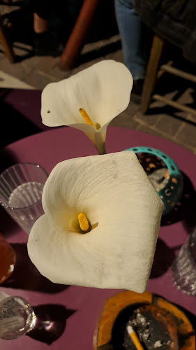 Opinii despre Epea Pteroenta în Χανιά - Καφετέρια