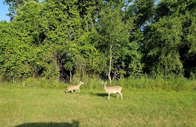 Rocky Creek Park