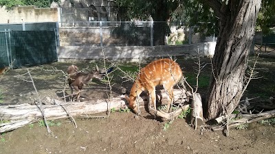 Photos of Edenlandia