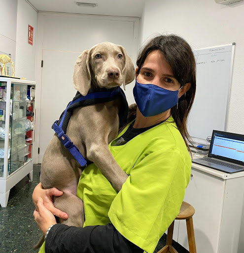 Hospital Veterinari del Penedès- Vilafranca del Penedès