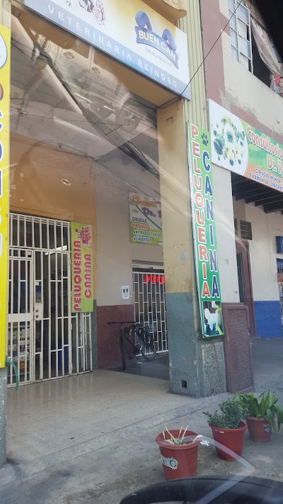 Photos of Clinica VETERINARIA REINOSO