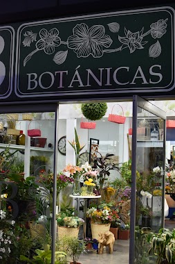 Británicas, Author: Nicolas Quijano