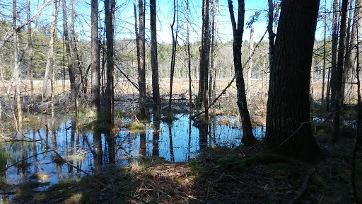 Highland Research Forest