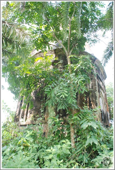 Photos of ধামতি বাজার মঠ
