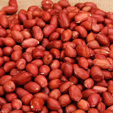 Af1qiporopnlrnbrpsplhgksnq9sv6 Nwhvypz3h2qml=s360 K No