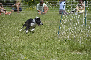 Photo n°11 de La Ferme De La Tournelle à Chamaloc (Ferme)