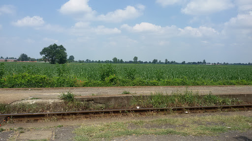 Belgioioso - Visual