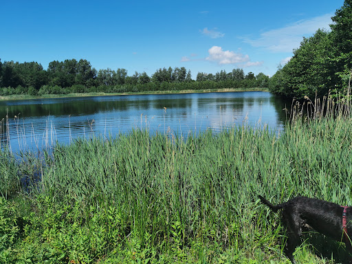 De Punt Wandelroute Gallery - Netherlands