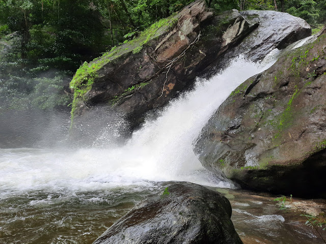 Rosegardens Tours and Travels by null