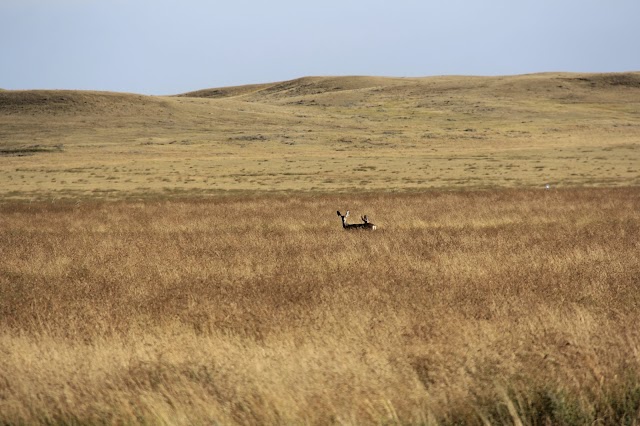 Grasslands National Park Visitor Centre