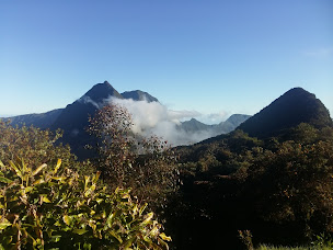 Photo n°3 de TRANSPORTS DALY à Saint-Paul (Service de taxi)