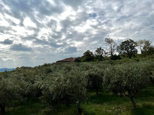 San Giovanni ilarione - Thumbnail