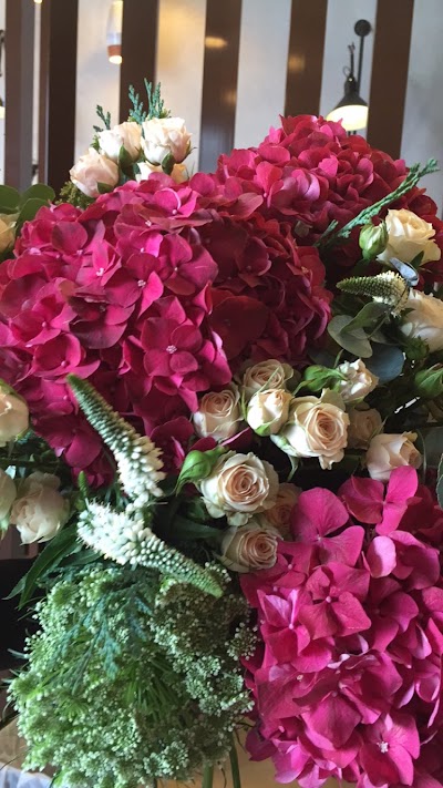 Photos of Moz Flowers