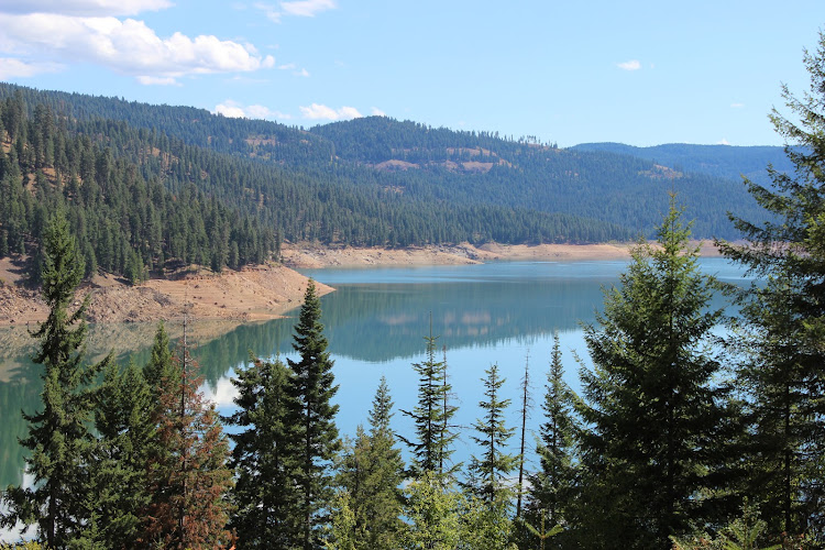 Dworshak State Park