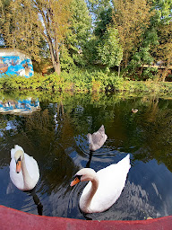 Photo n°8 de Péniche Pixxl Metz Location appartement atypique indépendant avec terrasse à Metz (Location d'appartement de vacances)