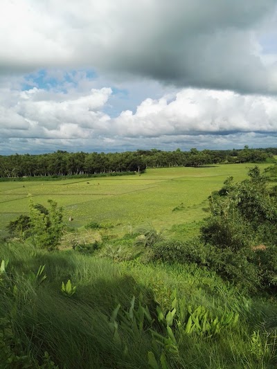 Photos of বাগড়া বাস স্ট্যান্ড